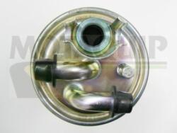 MOTAQUIP Filtru combustibil MOTAQUIP VFF462 (VFF462) - fixbox