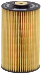 Hengst Filter Filtru combustibil HENGST FILTER E10KP D10 (E10KP D10) - fixbox