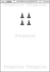 TRISCAN Set surub, disc frana TRISCAN 8105 116004 (8105 116004)