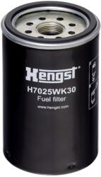 Hengst Filter Filtru combustibil HENGST FILTER H7025WK30 (H7025WK30) - fixbox