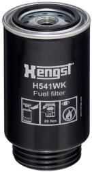 Hengst Filter Filtru combustibil HENGST FILTER H541WK D540 (H541WK D540) - fixbox