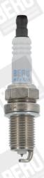 BorgWarner (BERU) Bujii BorgWarner (BERU) Z240