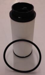MOTAQUIP Filtru combustibil MOTAQUIP LVFF762 (LVFF762) - fixbox