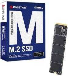 BIOSTAR M760 1TB (SA122PME3T)