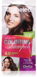 Delia Cosmetics Cameleo Coloring Shampoo tonizáló sampon hajra árnyalat 4.0 Brown 40 ml