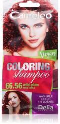 Delia Cosmetics Cameleo Coloring Shampoo tonizáló sampon hajra árnyalat 66.56 Wild Plum 40 ml