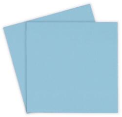 Thermal Grizzly Pad Termic Thermal Grizzly 100 x 100 x 0.5 mm (TG-MP-P-100-100-05)