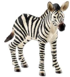 Schleich Schleich: zebra csikó figura