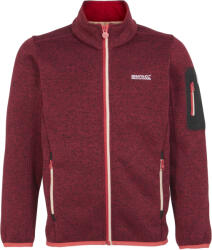 Regatta Gyermekek/gyermekek Newhill Fleece kabát 3 - 4 EVES vörös