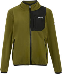 Regatta Gyermekek/gyerekek Frankie Full Zip Fleece kabát zöld