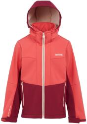 Regatta Gyermekek/gyerekek Haydenbury II Soft Shell kabát 14 éves bordó|vörös