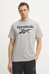 Reebok Classic pamut póló szürke, férfi, nyomott mintás, 100071173 - szürke XXL