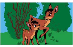 Diafilm - Bambi - vegyesbolt