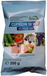 SOLAREX CUPRIDIN 50 WP 200GR pentru 100L apă (6420529112307)