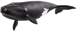 Schleich 14878 Északi simabálna (14878) - jatektenger