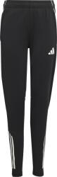 Adidas TIRO25C TR PNTY Nadrágok iw0451 Méret XL (165-176 cm) iw0451
