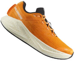 Salomon AERO GLIDE 3 Férfi futócipő (1122007887)