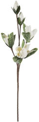 Bizzotto Set 12 Magnolia artificiale 35x95 cm (0172719)