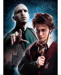 Clementoni - Puzzle Harry Potter II 500 - 500 piese