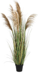 Bizzotto Pampas artificial in ghiveci 80x170 cm (0173021)