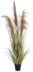 Bizzotto Pampas artificial in ghiveci 55x145 cm (0173022)