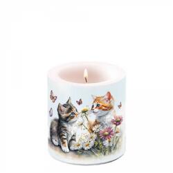 Ambiente Kittens in flower field átvilágítós gyertya 8x7, 5cm