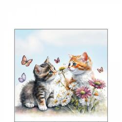 Ambiente Kittens in flower field papírszalvéta 25x25cm, 20db-os