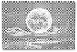  PontPöttyöző - Asztrológiai éjszaka Méret: 40x60cm, Keretezés: Keret nélkül (csak a vászon), Szín: Fekete