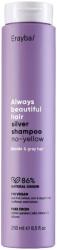 Erayba ABH Silver Тониращ шампоан за нежелани жълти оттенъци, 250 ml - baby