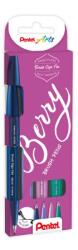 Pentel ecsettoll kalligrafikus hajlékony hegyű Brush Sign Pen 4 db-os - tkék, türk, ibolya, mály (SES15B-4)