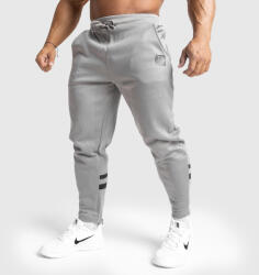 Iron Aesthetics Pantaloni de trening Jogger Iron Aesthetics Boxed, gri: Gri 2XL (P1835A11008)