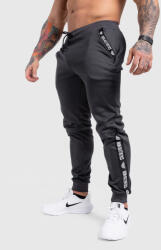 Iron Aesthetics Pantaloni de trening Jogger Iron Aesthetics Partial, gri: Gri 3XL (P1734A10535)
