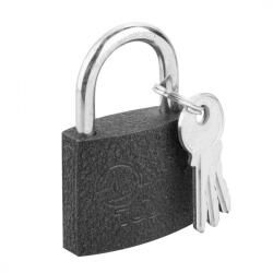 Top Tools Lock 40 mm vopsit cu 2 chei (90U301)