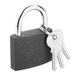 Top Tools Lock 50 mm vopsit cu 2 chei (90U302)