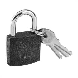 Top Tools Lock 30 mm vopsit cu 2 chei (90U300)