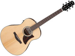 Ibanez AAM100E-NT