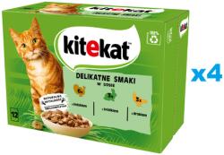Kitekat Finom ízek tasak 48x85 g teljes értékű nedves eledel felnőtt macskáknak pulyka, nyúl és baromfi mártással