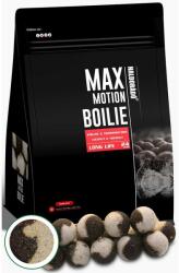 Haldorádó MAX MOTION Boilie Long Life 24 mm - Kókusz & Tigrismogyoró 800g (HD28564)