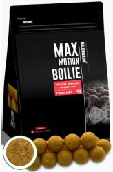 Haldorádó MAX MOTION Boilie Long Life 24 mm - Spanyol Mogyoró 800g (HD28557)