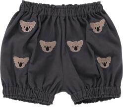 Donsje baba pamut rövidnadrág Carson Bloomers Koalas szürke, nyomott mintás, 3029804 - szürke 68