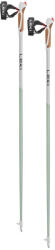 LEKI Passion 2023 120 cm
