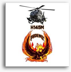Los Polos H145M Phoenix vászonkép