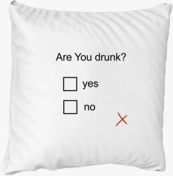 Los Polos Are You drunk párna