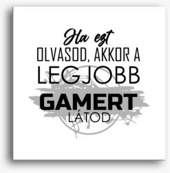 Los Polos Legjobb gamer vászonkép