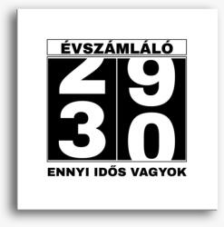 Los Polos Évszámláló 30 éves szülinapi vászonkép