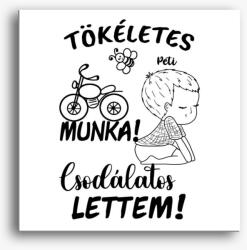 Los Polos Az én munkám csak tökéletes lehet párja, csodálatos lettem fiú3 vászonkép