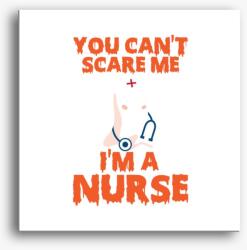 Los Polos nurse halloween vászonkép
