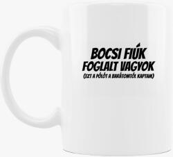Los Polos Bocsi fiúk foglalt vagyok páros bögre