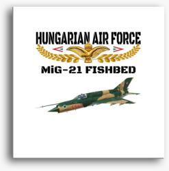 Los Polos Aranysas MiG-21 vászonkép
