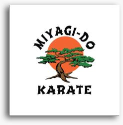 Los Polos Miyagi-Do vászonkép